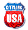 USA Citylink Project